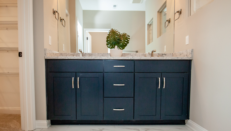 Bath Knobs & Pulls