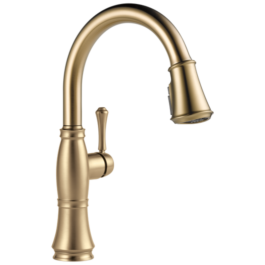 Kitchen Faucet (Cassidy)