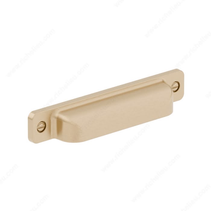 Pulls - Level 1 - Champagne Bronze