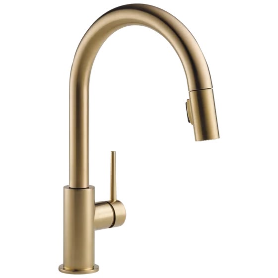 Kitchen Faucet (Trinsic)