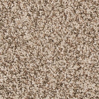 Presidential Feature - Carpet - Level 1 (Included)