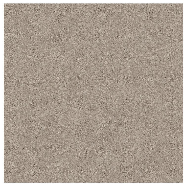 Presidential Feature - Carpet - Level 1 (Included)