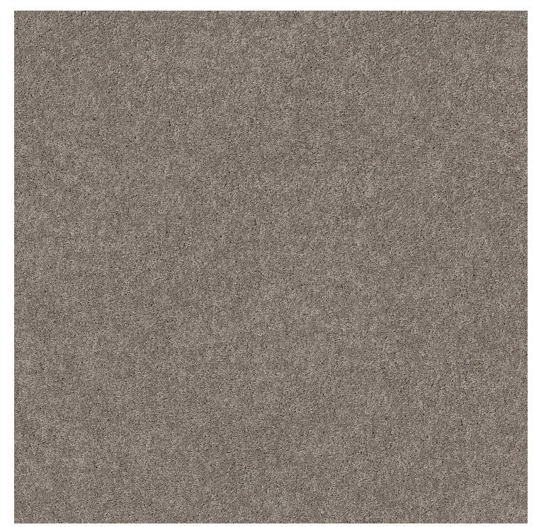 Presidential Feature - Carpet - Level 1 (Included)