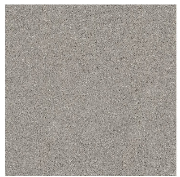 Presidential Feature - Carpet - Level 1 (Included)