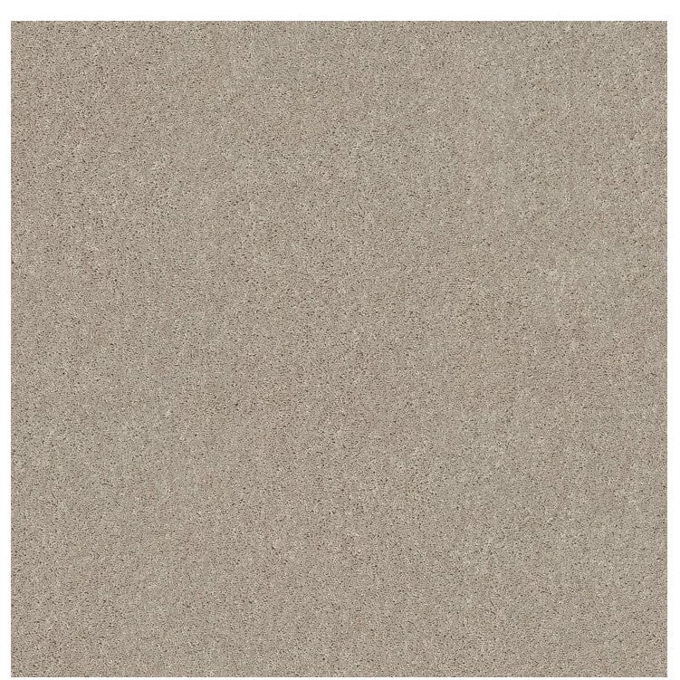 Presidential Feature - Carpet - Level 1 (Included)